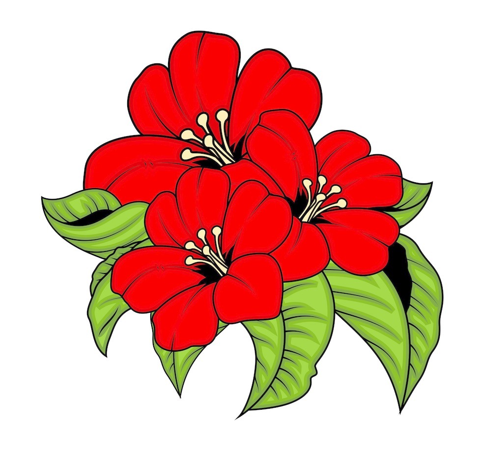 熱烈祝賀公司中標(biāo)鞍山神龍騰達(dá)工貿(mào)有限公司鍍鋅線項目
