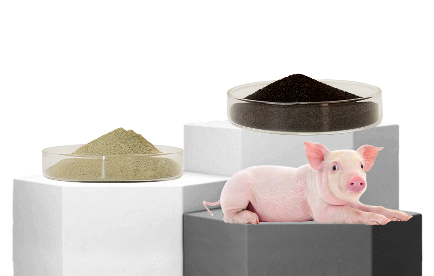 PIG FEED ADDITIVES 