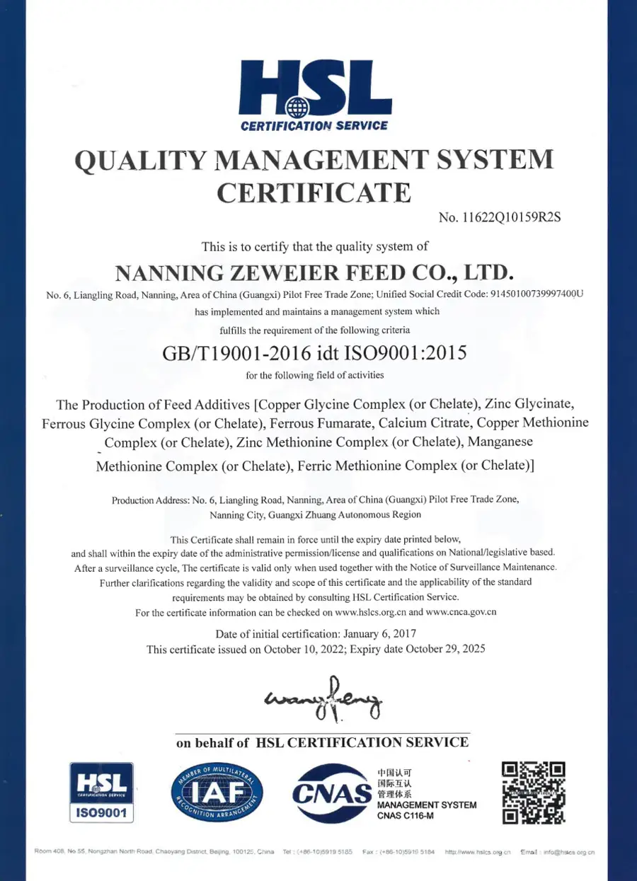 ISO certificate