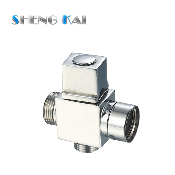 SKA0404