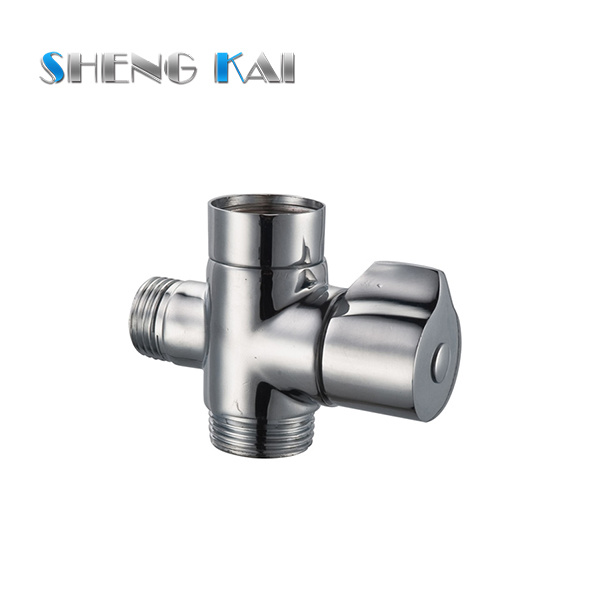 SKA0407
