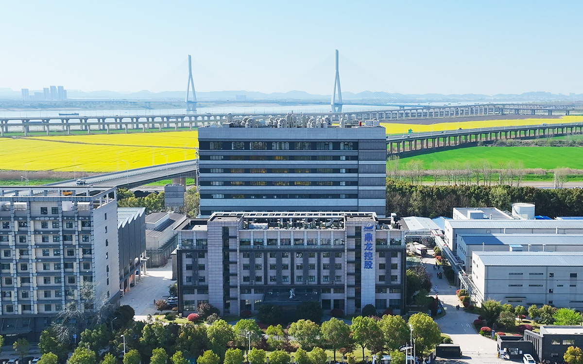 鼎龙集团武汉总部科技园