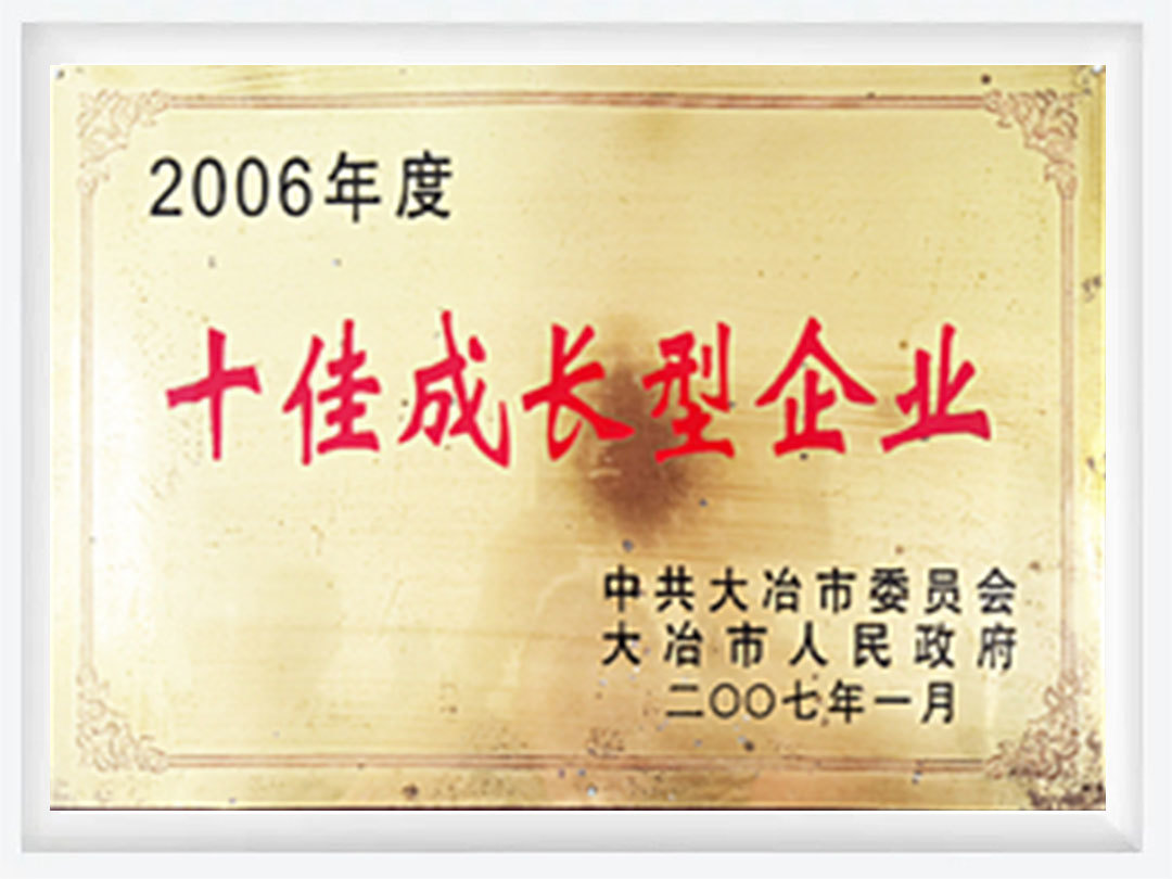 2006年度十佳成长型企业