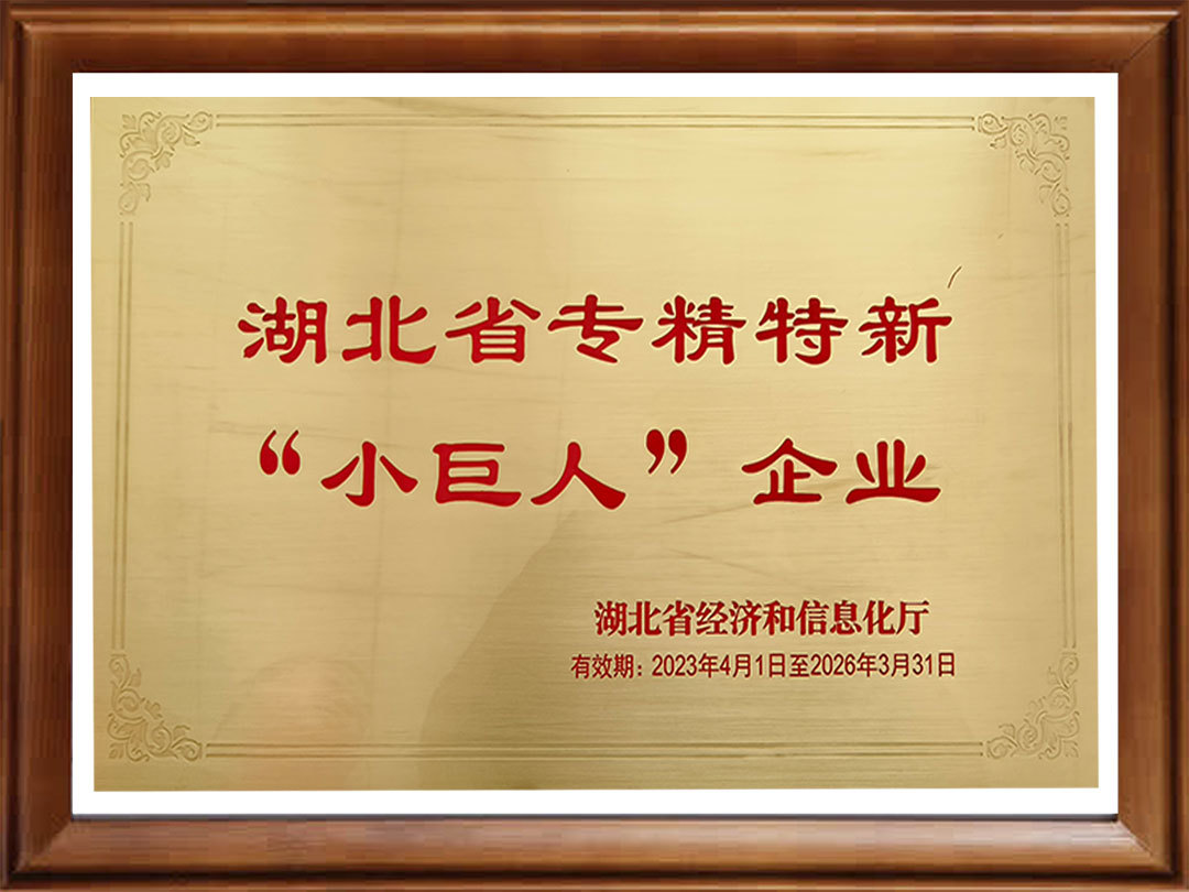 Hubei Province Specialized, Refined, Unique, and New Little Giant