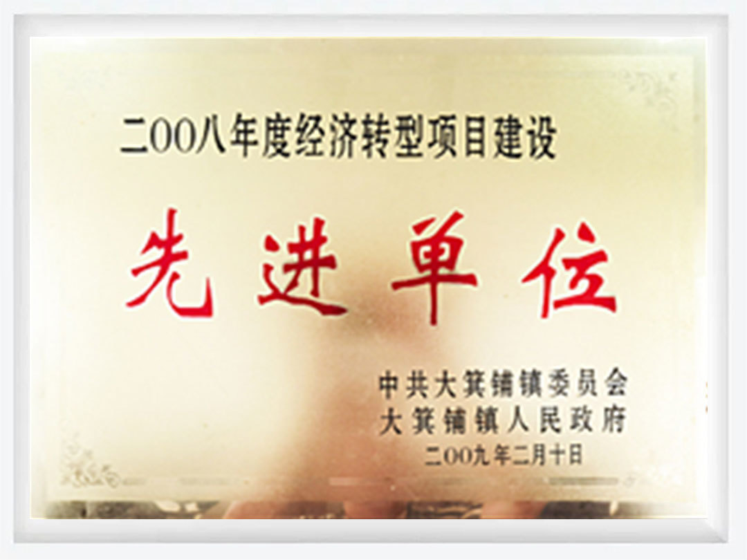 2008年度经济转型项目建设先进单位