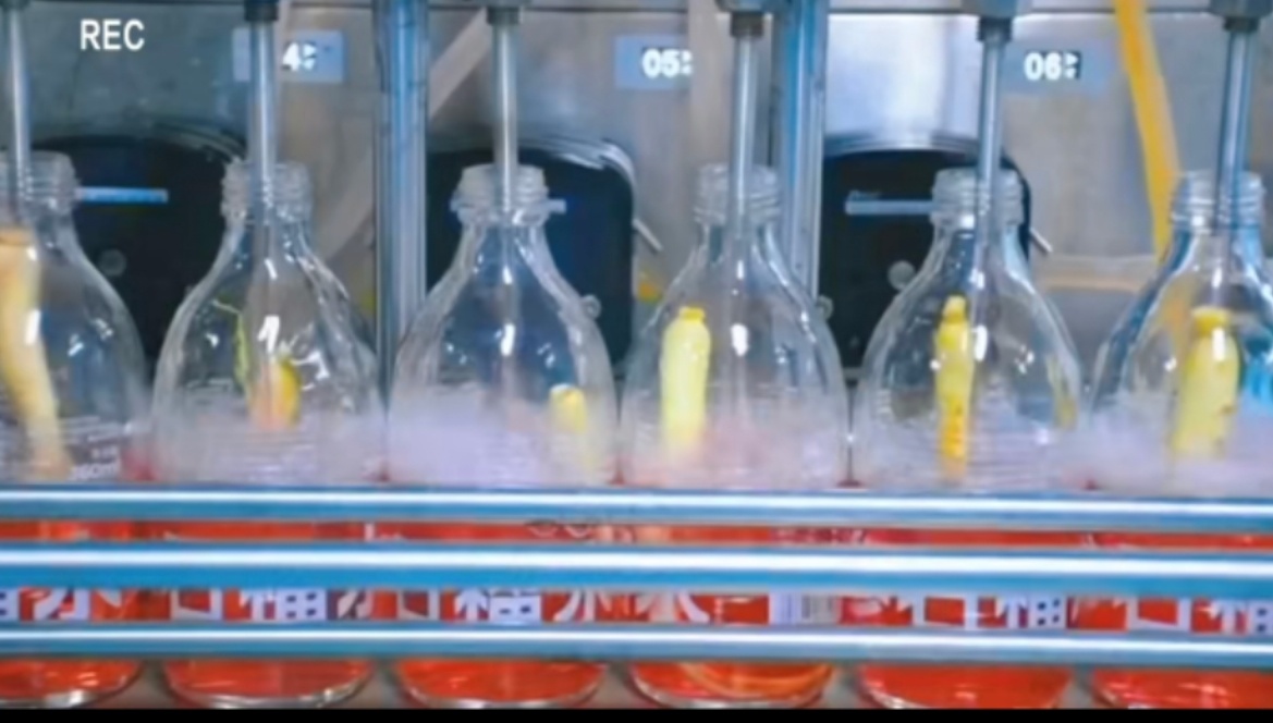 Ginseng water canning