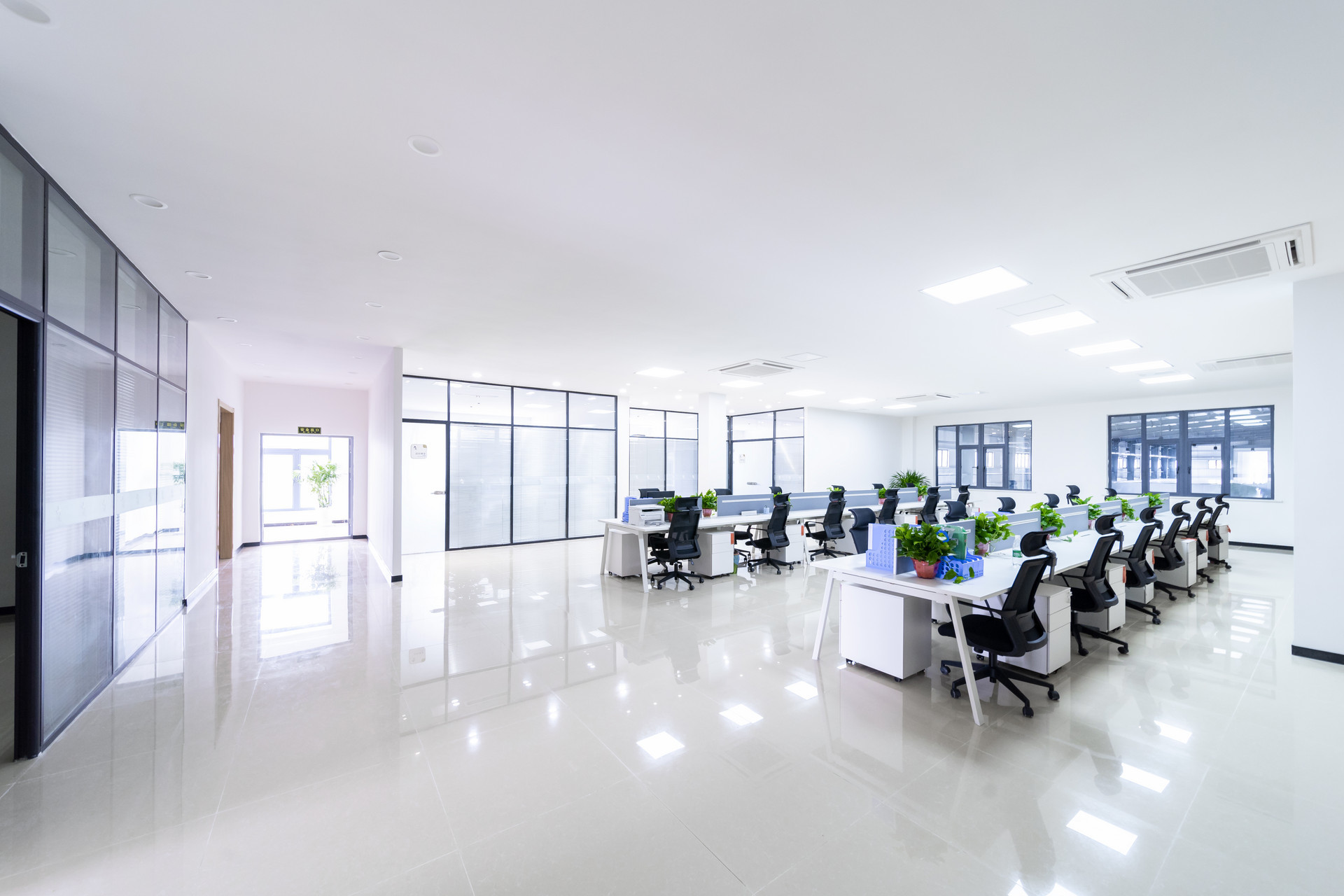 Company profile