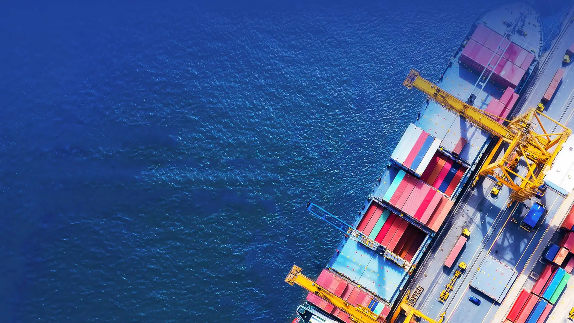 Bao Fortune Shipping(HK) Group Co.,Limited