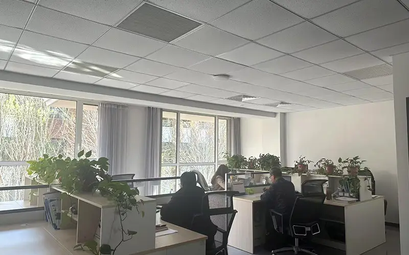 Xin Hong International Trading Environment Xin Hong International Trading Environment