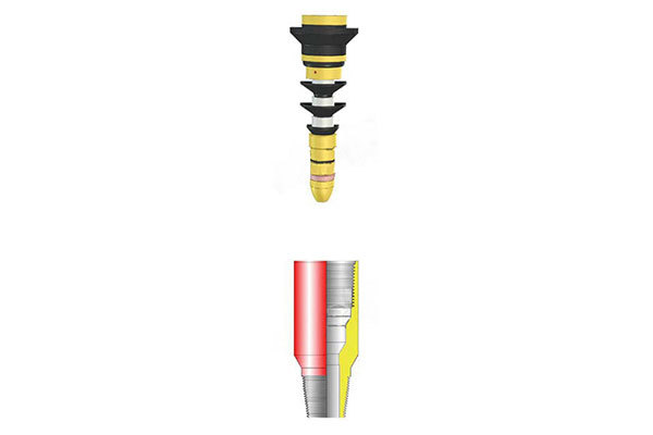 COMBINATION PUMP-DOWN PLUG