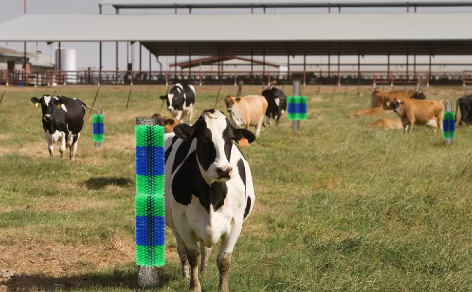 The Benefits of a Cow Brush
