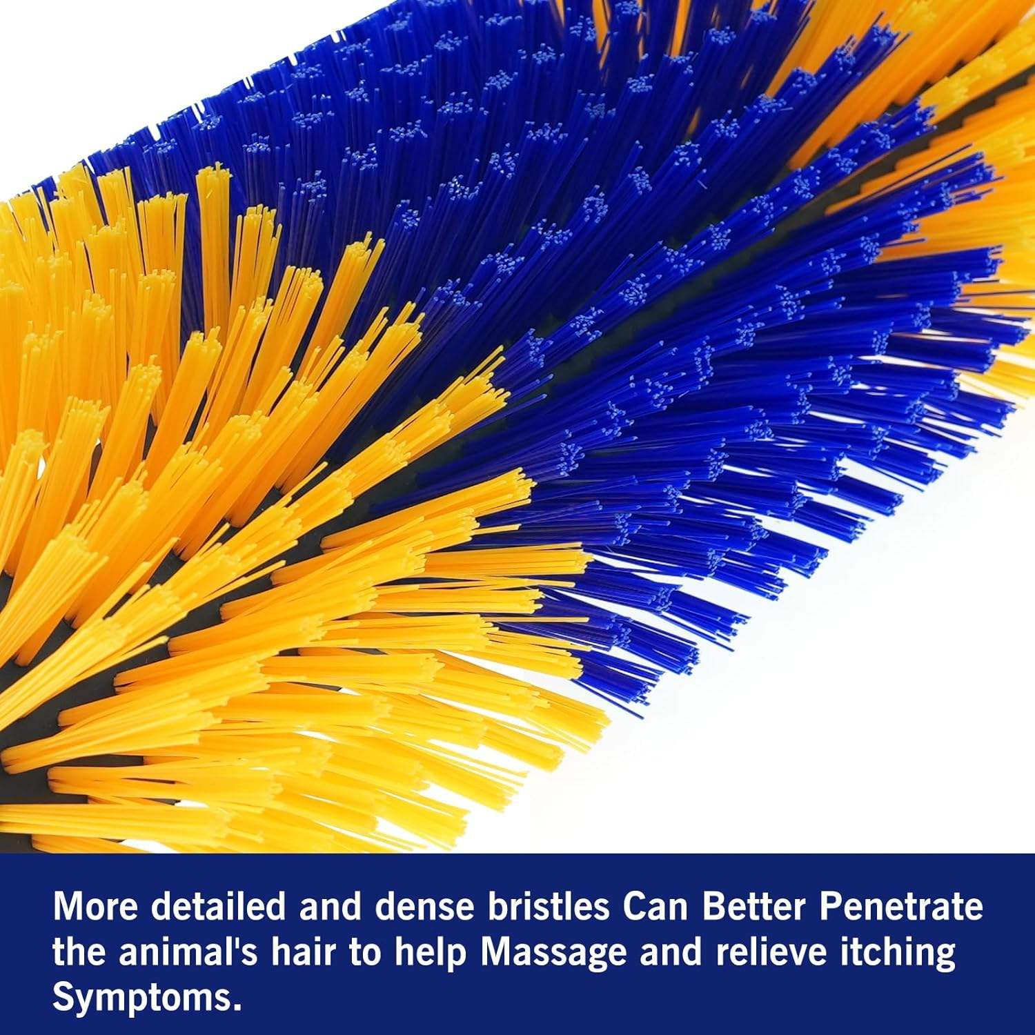 Top Features to Look for in a High-Quality Horse Brush