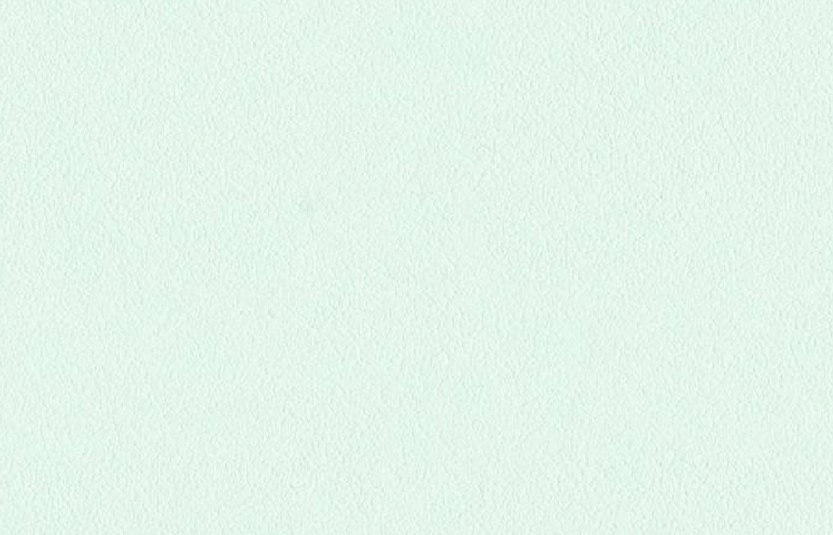 LFE-FGPW2406