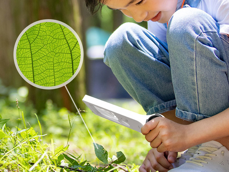 Unlocking the Wonders of Science: Engaging Microscope Activities for STEAM Learning