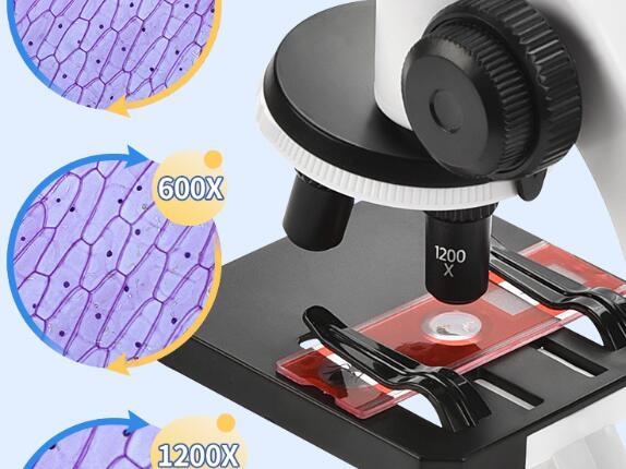 Why children's microscopes are becoming more and more popular