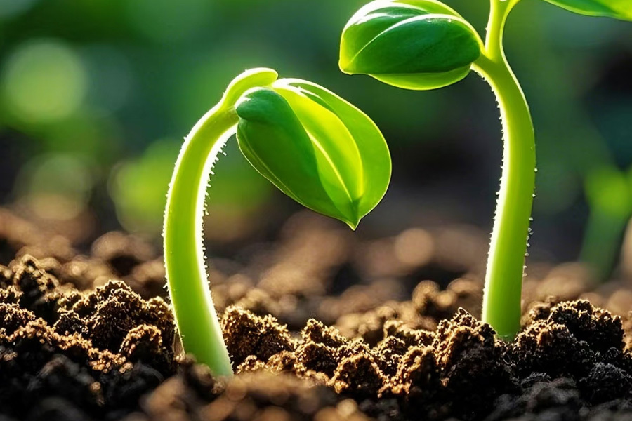 Agriculture