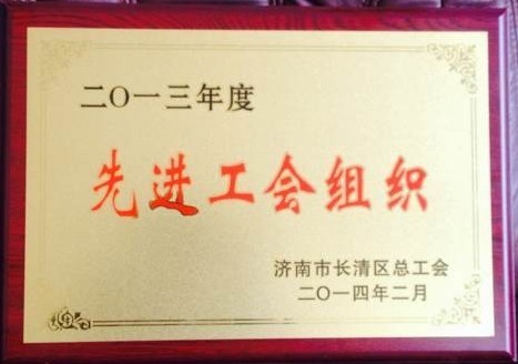 恭喜济南世通建设机械有限公司荣获2013年度先进工会组织！