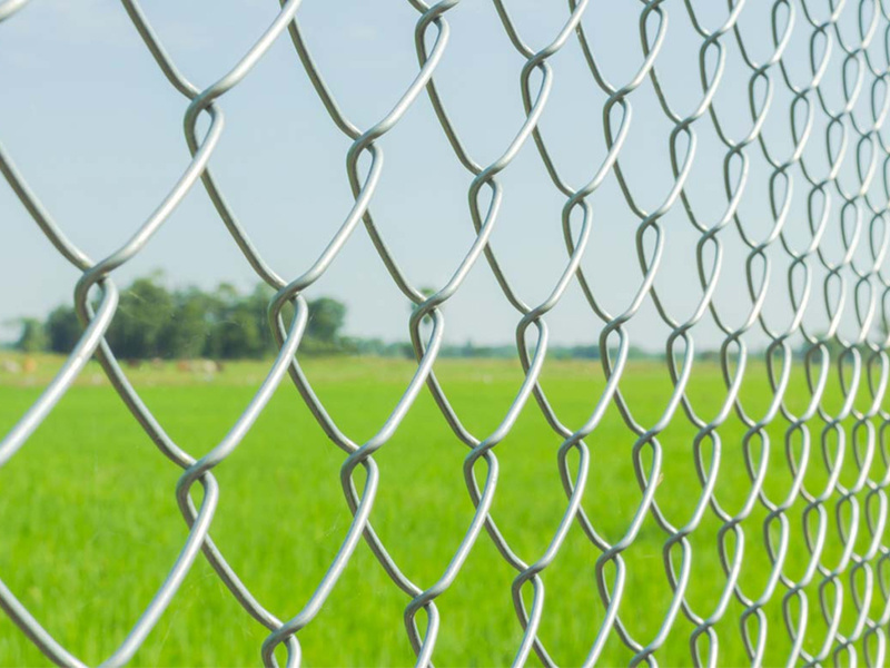 Wire Mesh Series