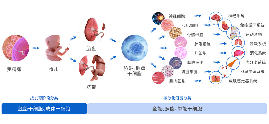 华仁医学科技