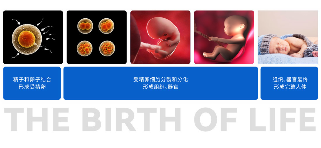 华仁医学科技