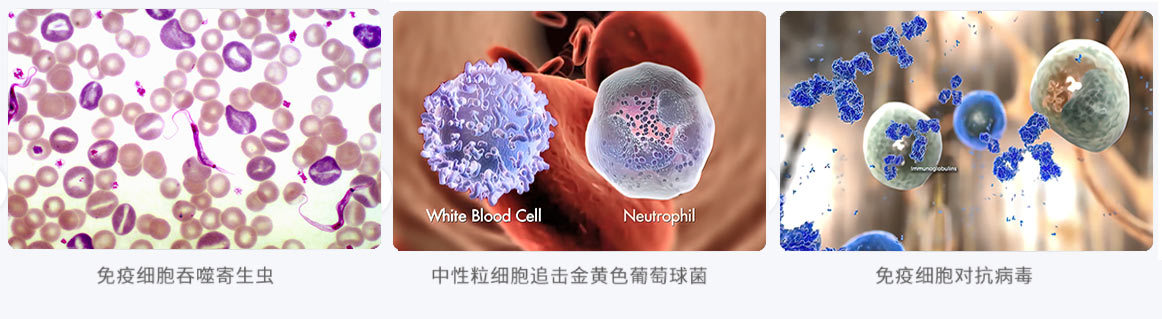华仁医学