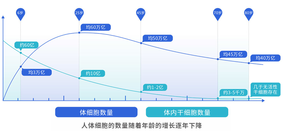 华仁医学科技
