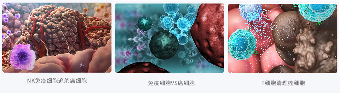 华仁医学