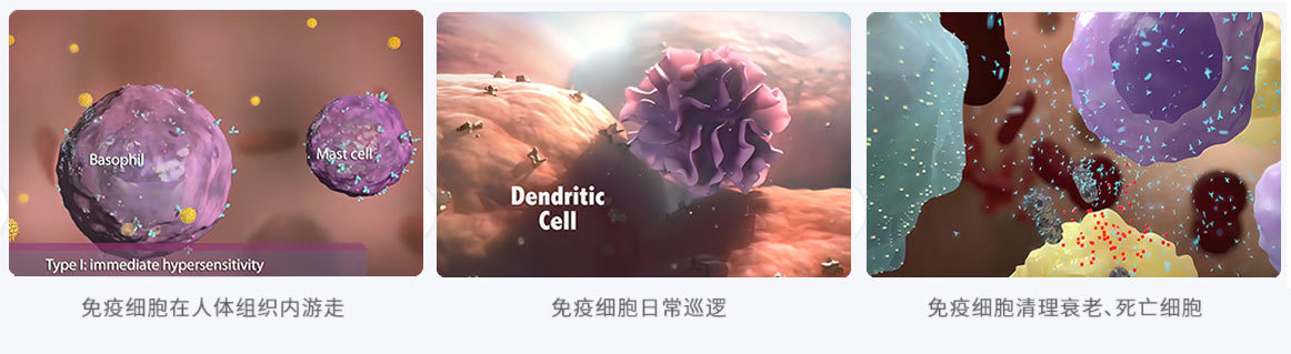 华仁医学