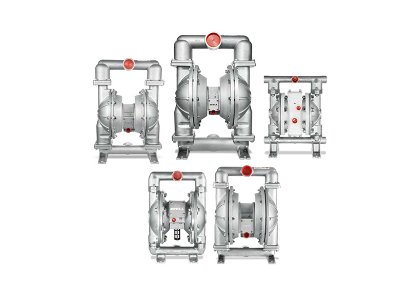 Stainless Steel / Cast Iron Pump Series