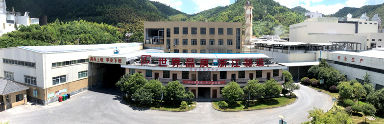 Company Profile