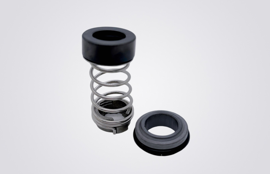 CH-12 Pump Mechanical Seals