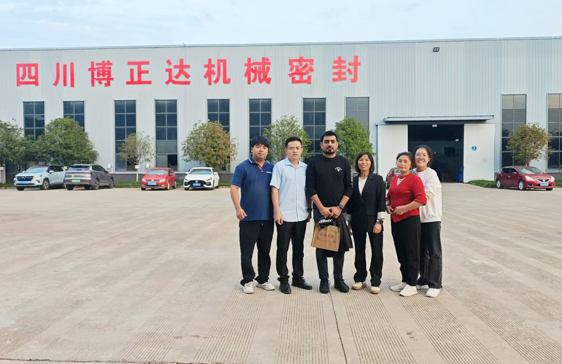 Sichuan Bozhengda Mechanical Seal Technology Co., Ltd. is a returning entrepreneurial enterprise that mainly produces rubber molds, stamping molds