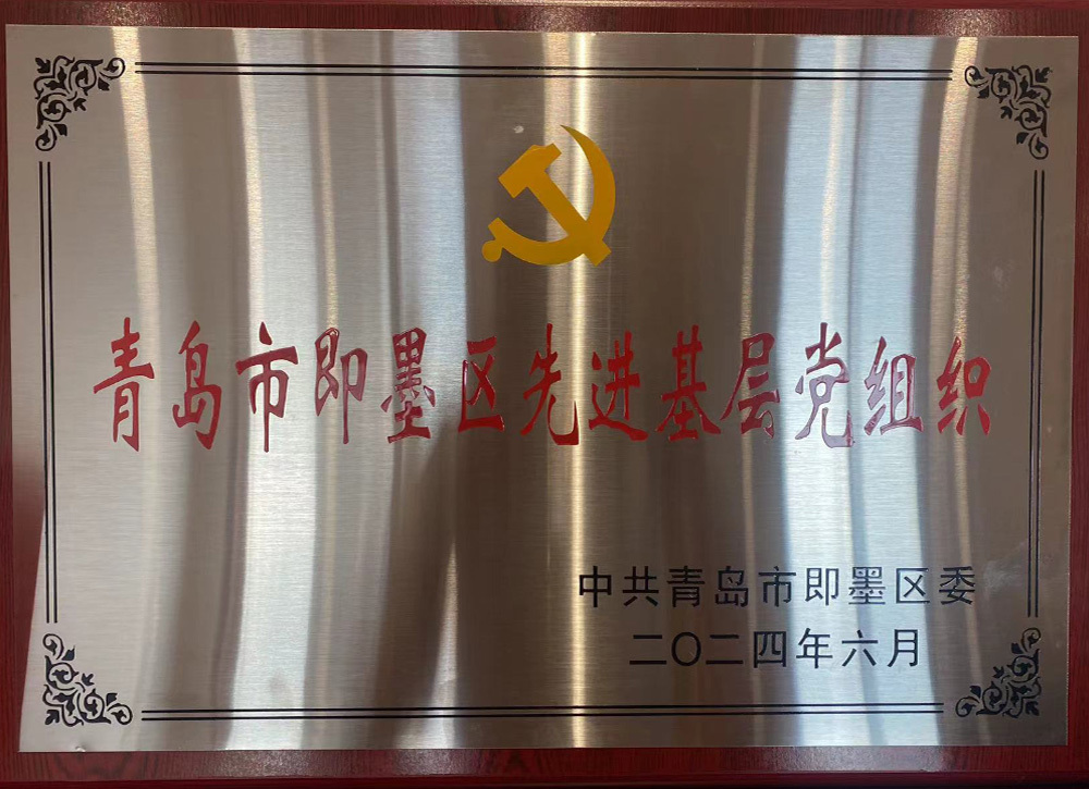 青岛市即墨区先进基层党组织（2024年）