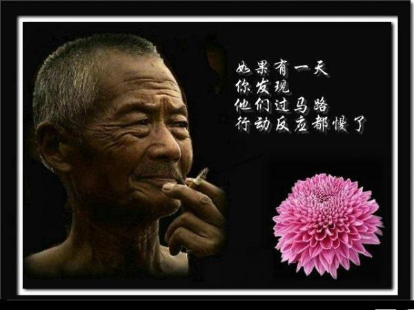 孝行天下,尽己所能