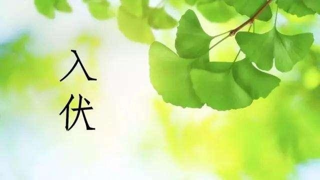 大幅度