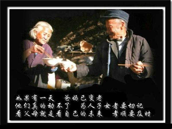 孝行天下,尽己所能