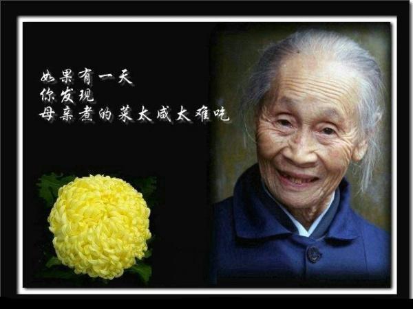 孝行天下,尽己所能