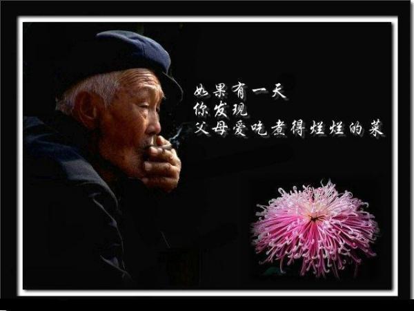 孝行天下,尽己所能