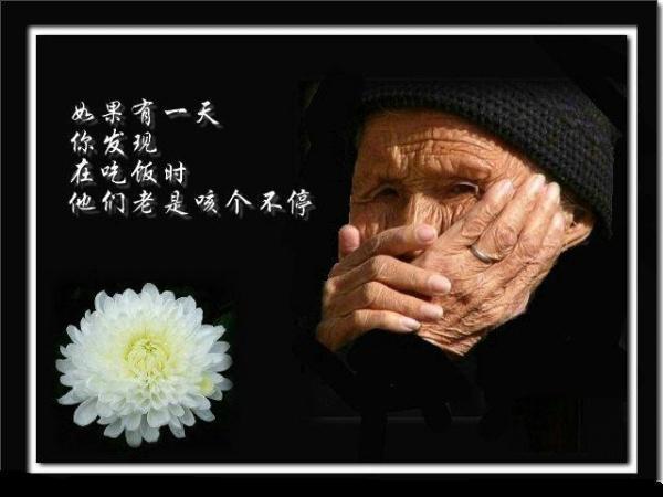 孝行天下,尽己所能