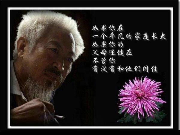 孝行天下,尽己所能