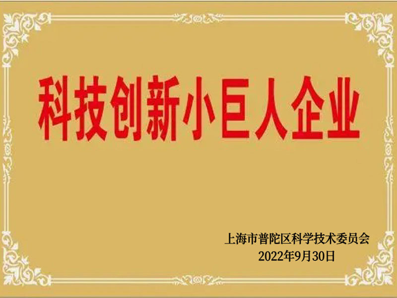 科技创新小巨人企业