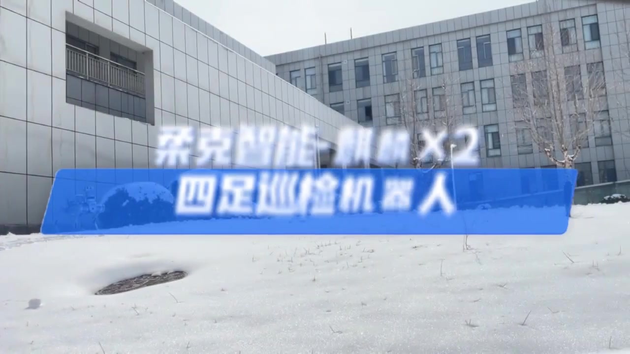 20250309-四足机器人麒麟X2 雪地舞动.mp4 20250309-四足机器人麒麟X2 雪地舞动.mp4
