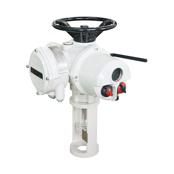 Intelligent electric actuator with direct stroke adjustment