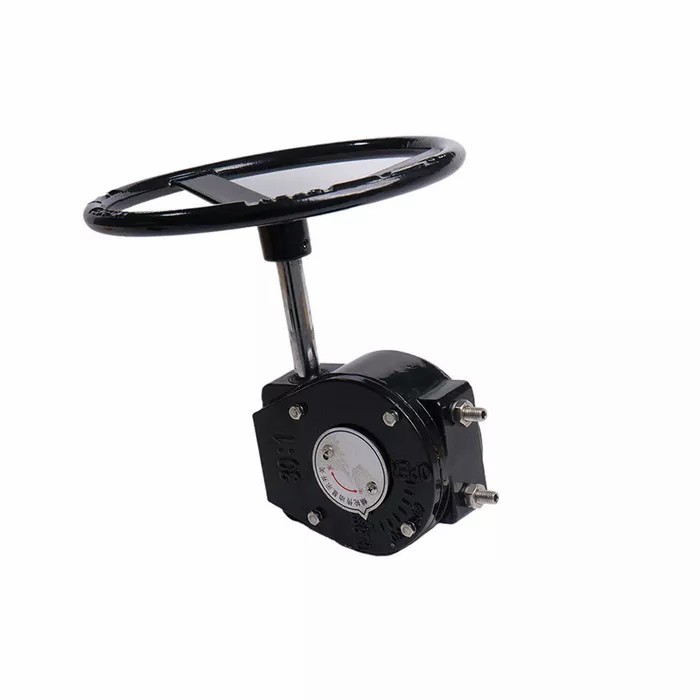 Butterfly valve wheel box