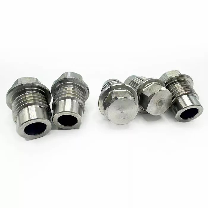 Check valve sealing plug