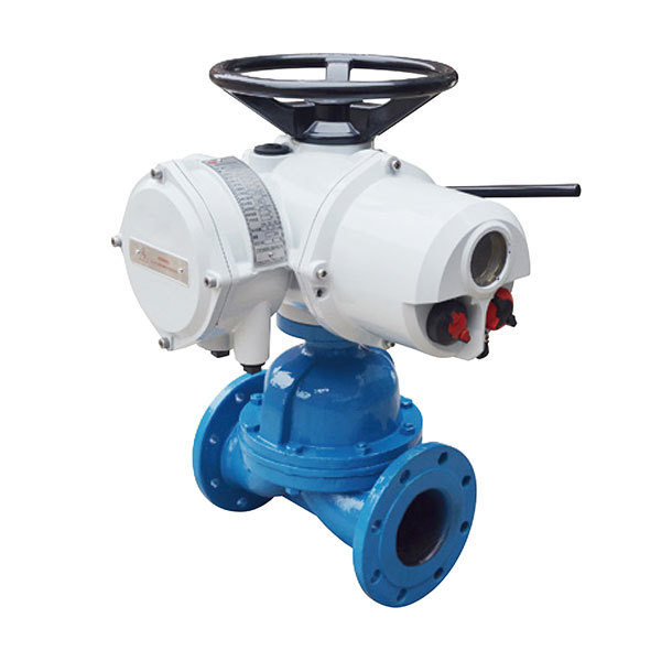 Electric Diaphragm Valve