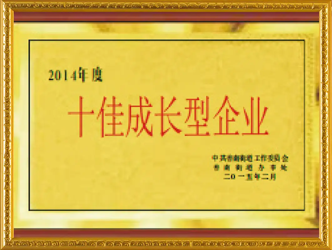2014年度十佳成长型企业