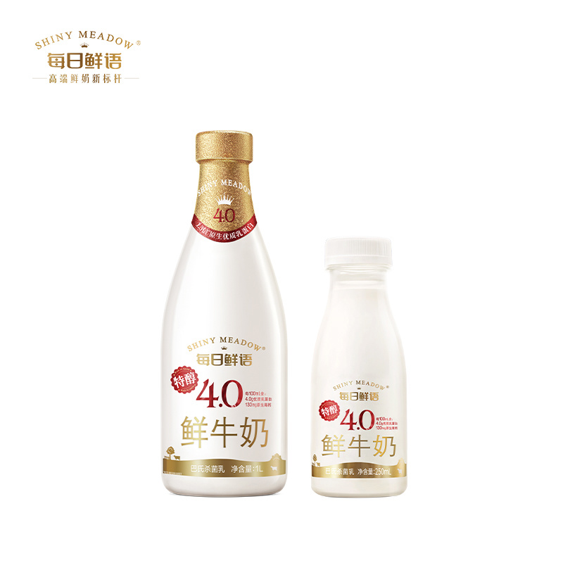 每日鲜语-4.0