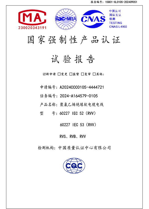 RVV检测报告
