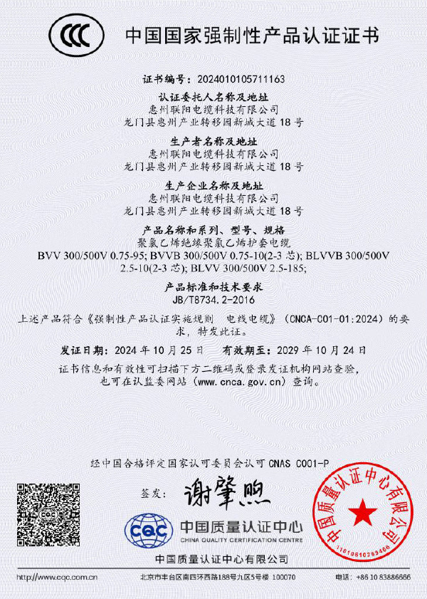 BVV证书（中文）